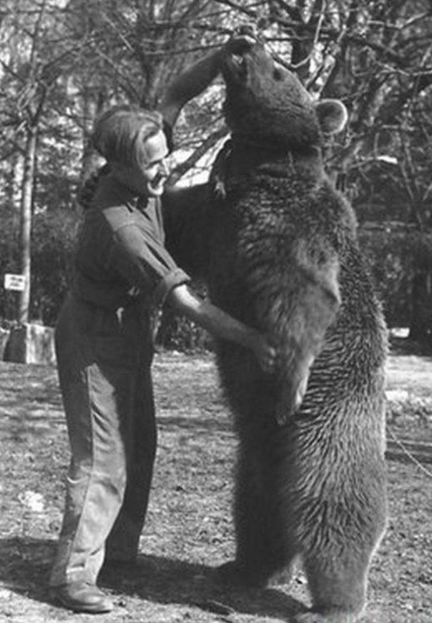 A soldier gets to grips with Wojtek. Photo courtesy of The Polish Institute and Sikorski Museum