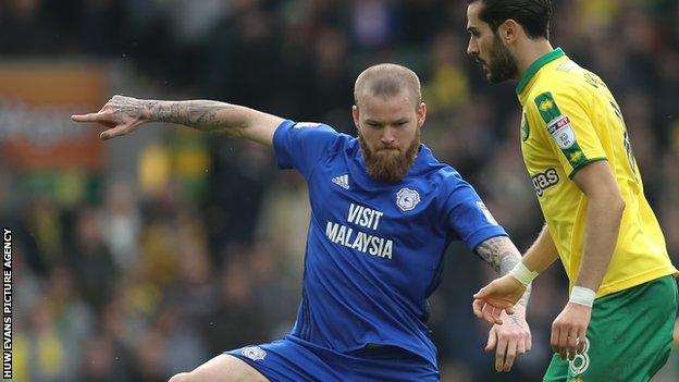 Iceland midfielder Aron Gunnarsson was part of the Cardiff side that last played in the Premier League