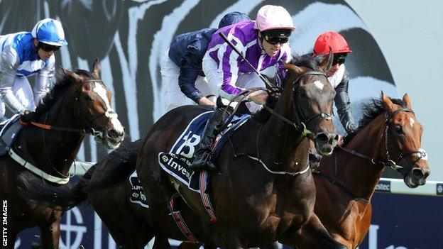 Wings of Eagles 2017 Epsom Derby winner