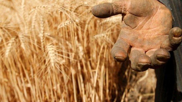 Close up dusty hand (Image: BBC)