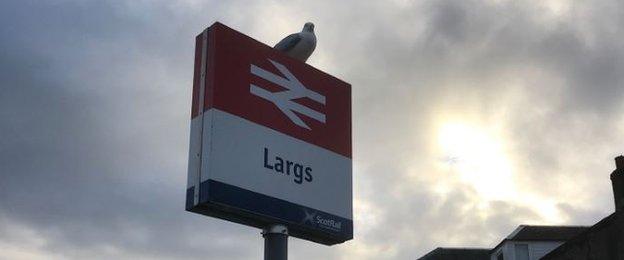 A seagull on top of a sign