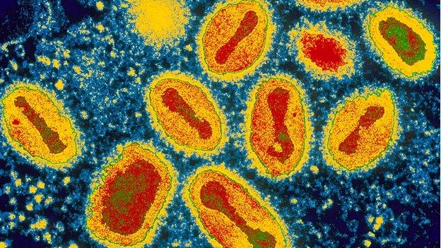 Smallpox virus