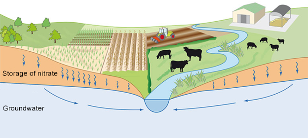 Nitrate pollution