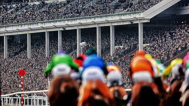 Runners at the Cheltenham Festival