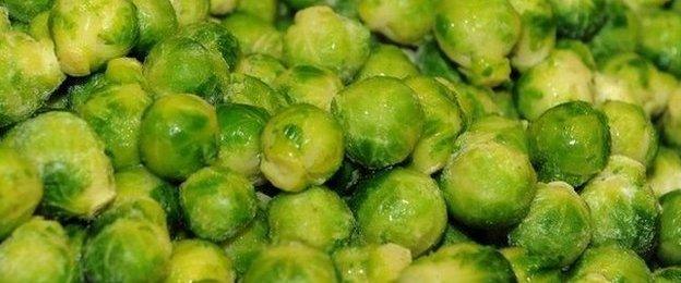 Why not give sprouts a go? They're rich in many valuable nutrients.