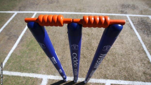 cricket stumps