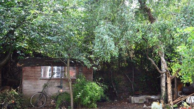 Garden at Robert Bell's house