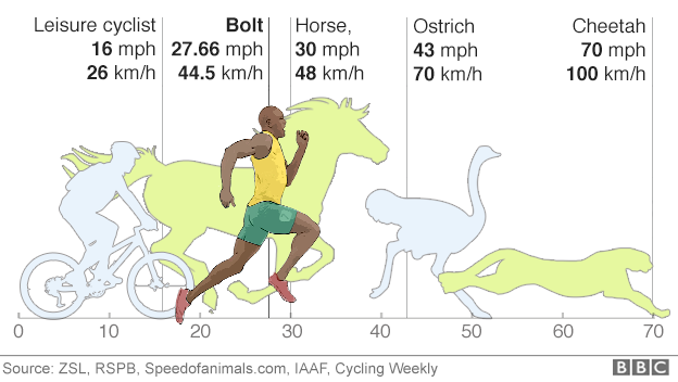 Bolt vs animals and cyclist