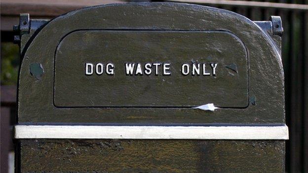 Dog mess bin