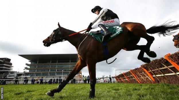 Flooring Porter won the Stayers' Hurdle