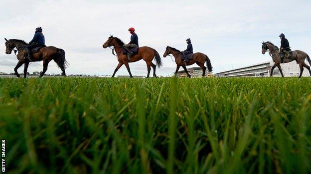 Horses exercising at Cheltenham Racecourse