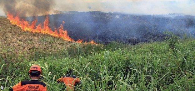 Firemen work to contain burning wildfires in South Sumatra, Indonesia on Saturday, 5 September, 2015