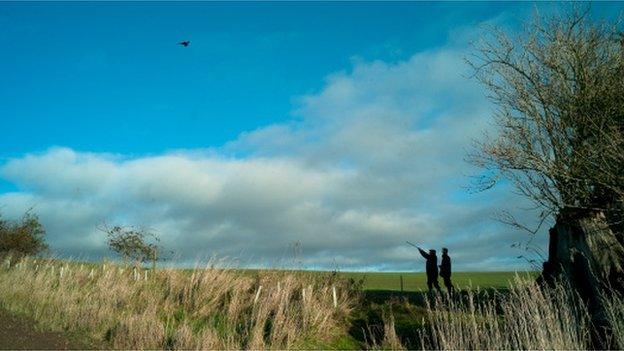 Silhouette of men shooting grouse