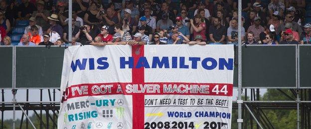 Lewis hamilton supporters