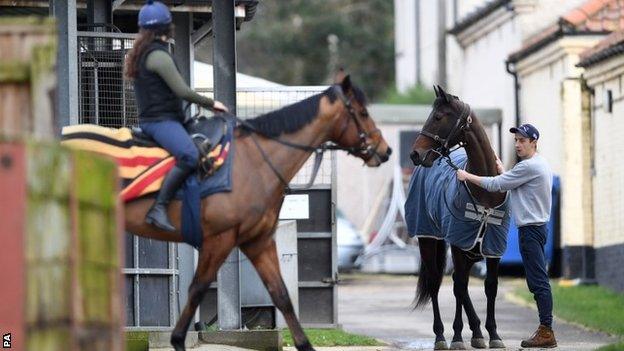 Horses at Simon Crisford's stable