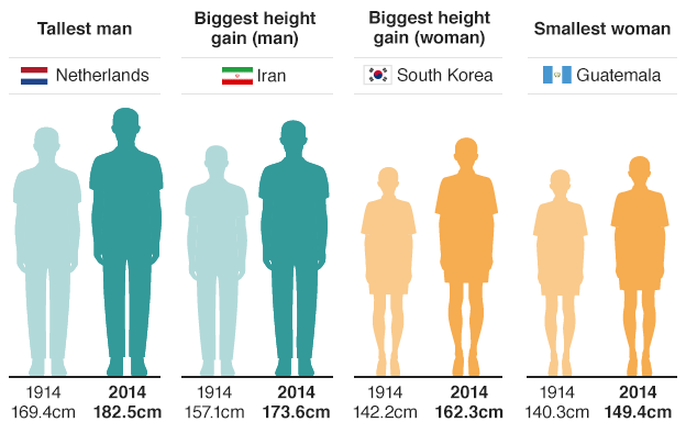 Dutch men revealed as world's tallest - BBC News