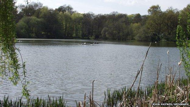 Acton Park lake