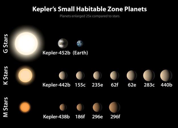 Infographic