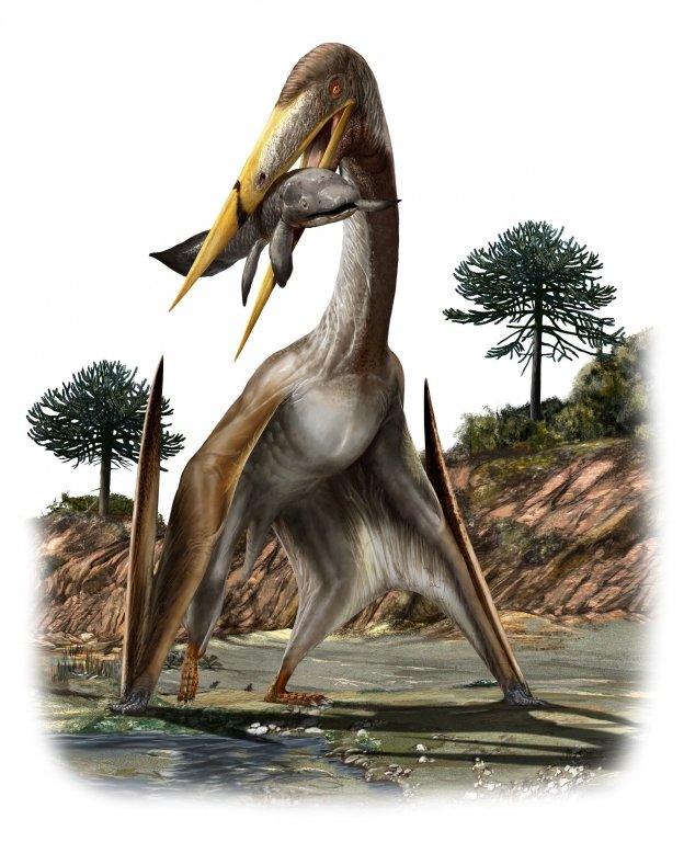 pterosaurs-with-prey.