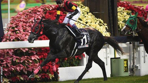 A Shin Hikari