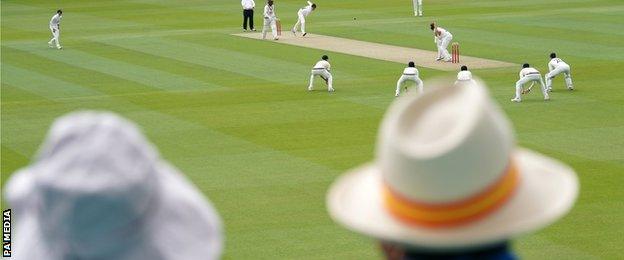 Spectators watch cricket