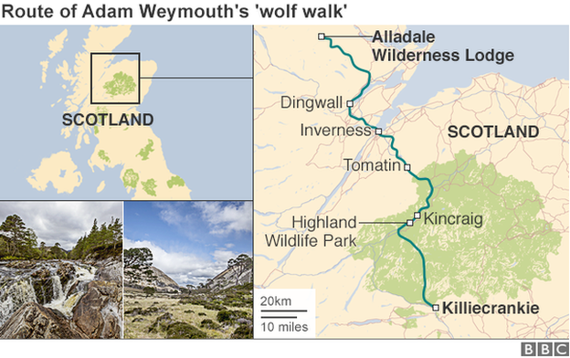 Wolf walk map