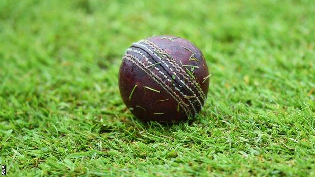 Cricket ball