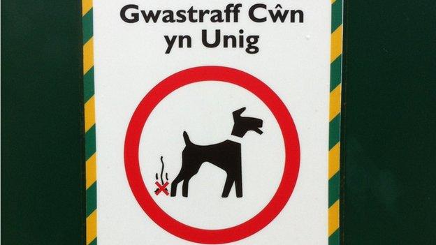 bin ar gyfer baw ci