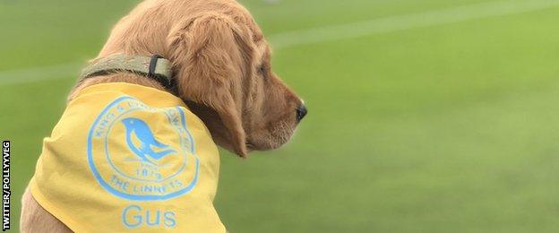 King's Lynn v Chester