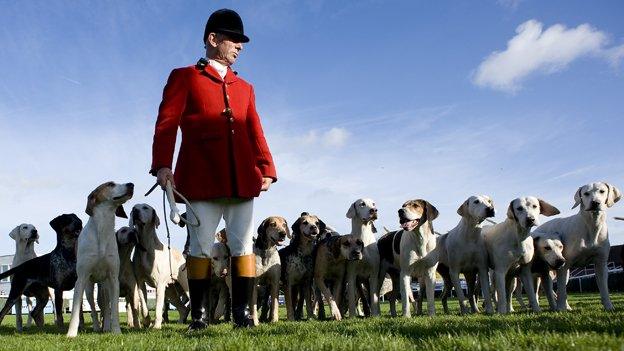 Hounds from the Vine & Craven Hunt are paraded at Newbury racecourse in 2011