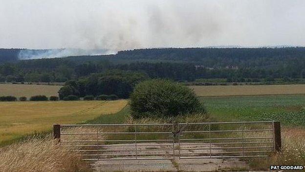 The fire at Thetford Forest