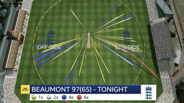 Tammy Beaumont's wagon wheel against New Zealand