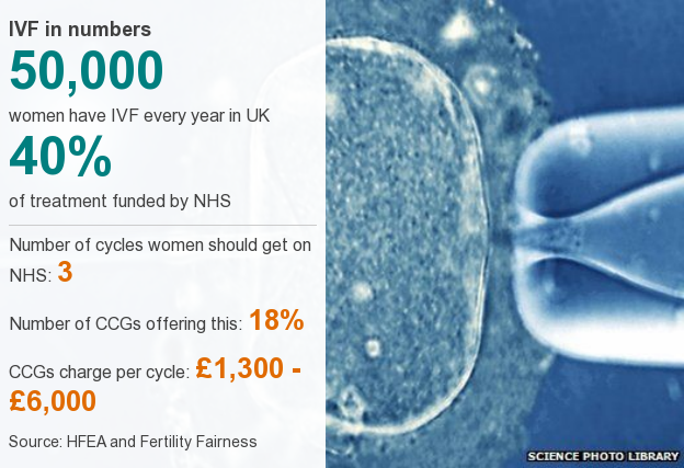 IVF datapic