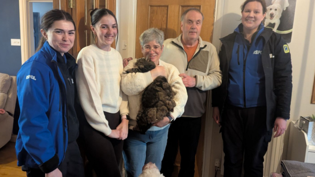 Alfie the cat rescued from a narrow gap at a house on Madeira Road in Portsmouth