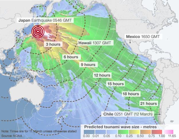 Estimated arrival times and amplitude of tsunami waves