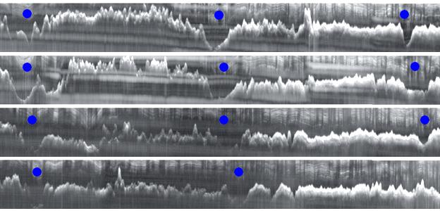 Icecap radar tracks