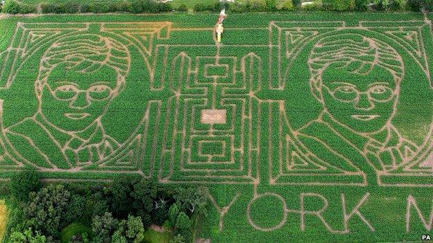 Harry Potter spot the difference maze