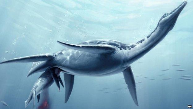 Artist impression of a plesiosaur giving birth