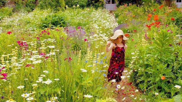 Girl walking in a meadow