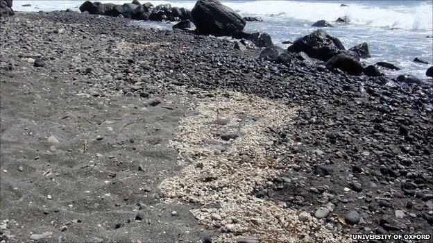 Pumice 'rock rafts', Santorini (Image: Oxford University)