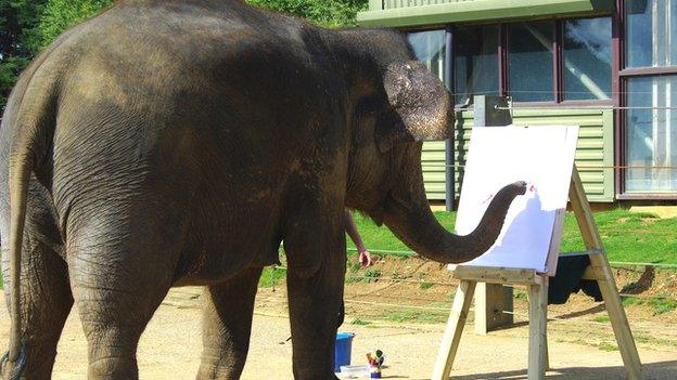 Painting elephant