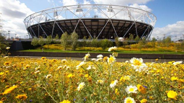 Meadow in front of Olympic Stadium
