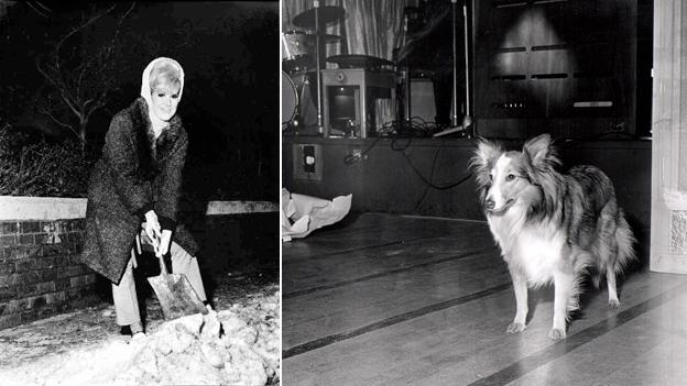 Dusty Springfield shovels snow in 1965 and the dog that just turned up