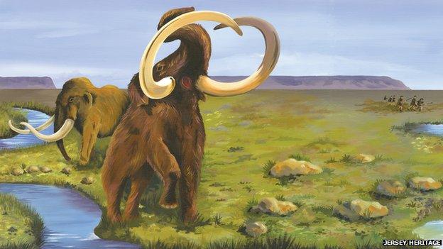 Artist impression of mammoths in Jersey