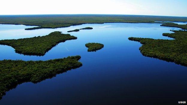 Everglades USGS