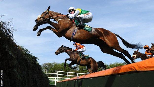 Ballabriggs, winner of the 2011 Grand National, jumps a fence