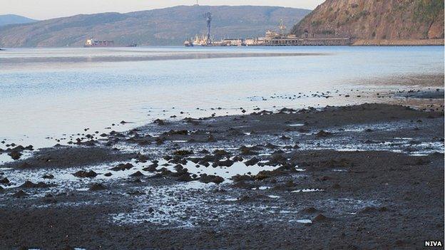 Fjord tailings