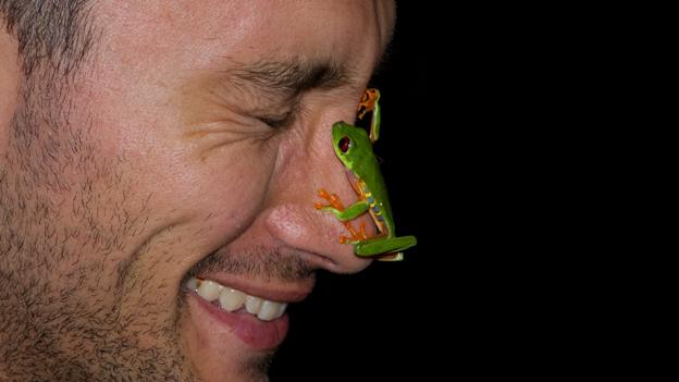 Frog on face