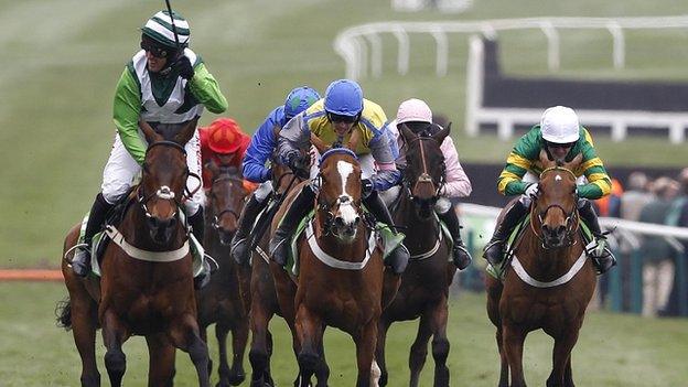 Noel Fehily celebrates after riding Rock On Ruby to victory in the Champion Hurdle at Cheltenham