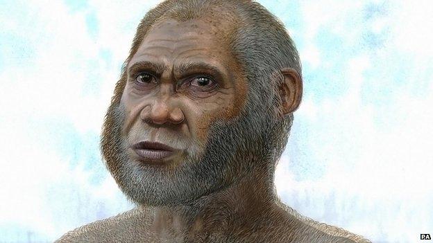 Drawing of what the human may have looked like